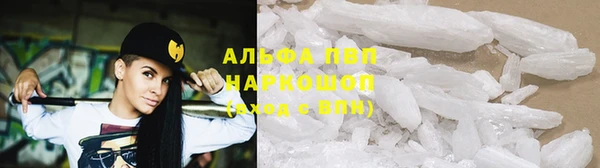 мяу мяу мука Белокуриха