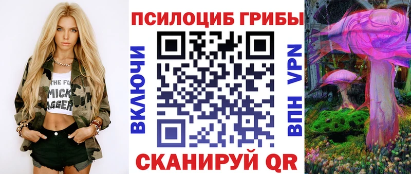 купить наркоту  Малая Вишера  Галлюциногенные грибы мицелий 